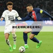 湖北足球网(湖北足球队)