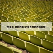史蒂夫-弗朗西斯(史蒂夫弗朗西斯集锦)