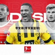 李文豪(李文豪篮球)