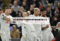 切尔西宣布签下哈弗茨(切尔西哈弗茨进了几球)